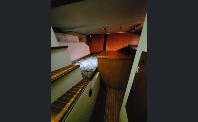 Finnsport 8500 Flybridge-kuva-8